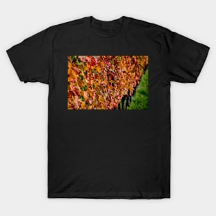 Autumn Vines T-Shirt